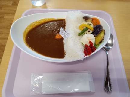 組合員活動『お出かけ班会』の様子
